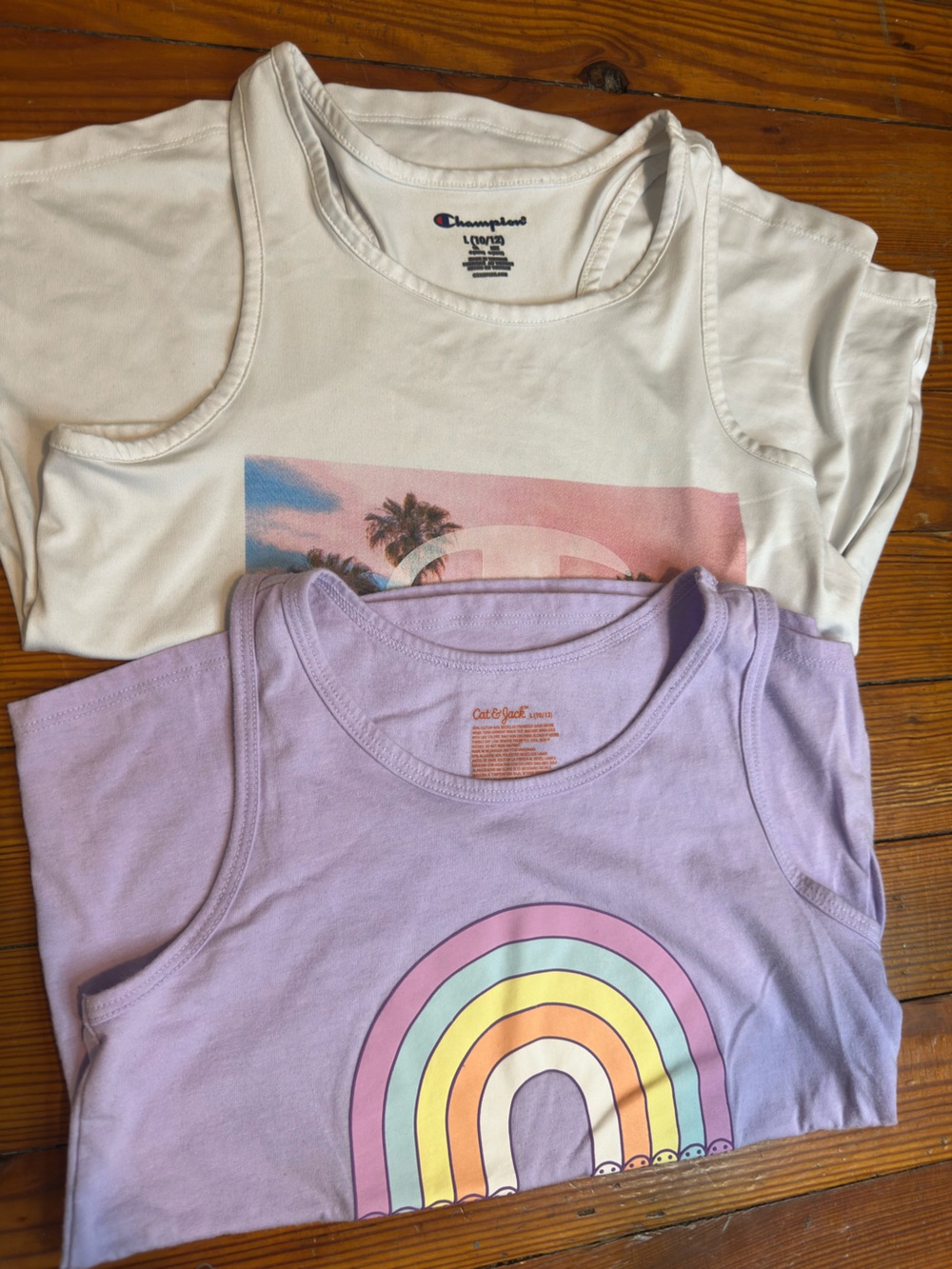 Champion Cropped Palm Tree & Cat & Jack Rainbow Tank Tops 2 Pack